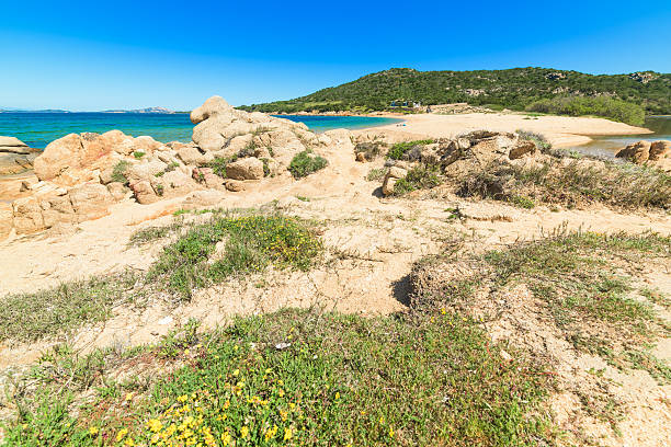 Ea Bianca in Sardinia, Sardinia
