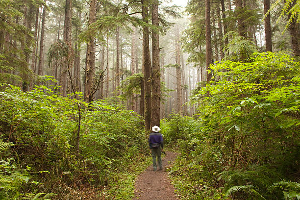 botas de montaña en el bosque de niebla olímpico sendero parque nacional de washington - olympic national park fotografías e imágenes de stock