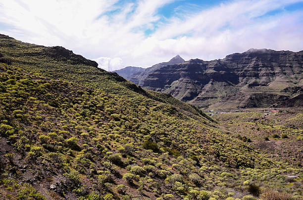 istock Volcanic Rock Basaltic Formation in Gran Canaria 528969308