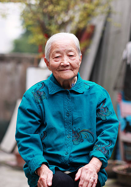 istock Grandmother in the hutong 528971826
