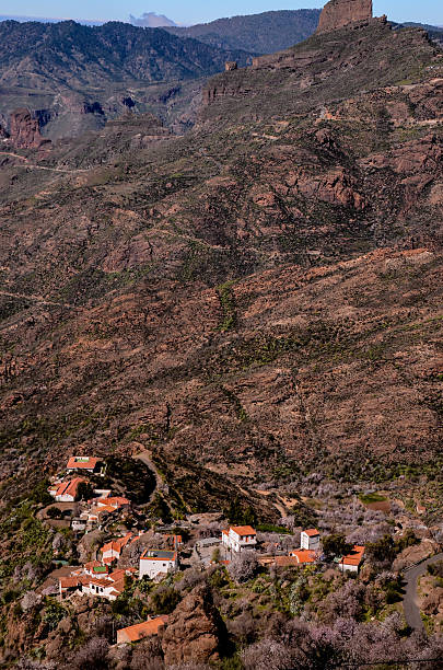 istock Village in Gran Canaria 528972620