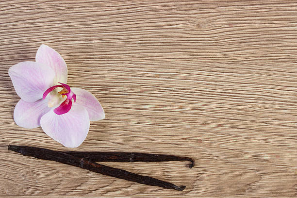 istock Blooming orchid and fragrant vanilla sticks, copy space for text 528974266
