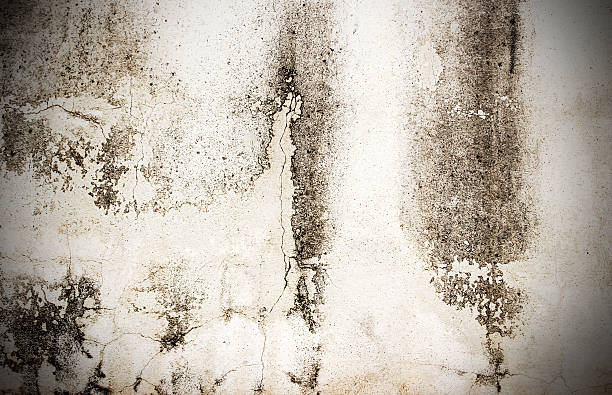 istock Hi res white grunge textures and background 528974676