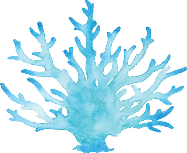ilustrações, clipart, desenhos animados e ícones de coral aquarela azul - cnidarian