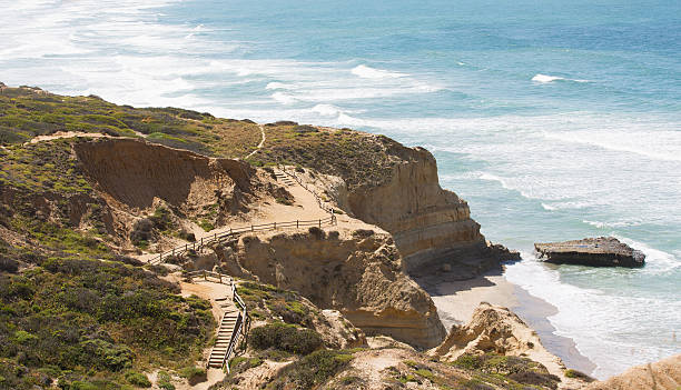 southern california coastline view of beautiful cliffs at the coast of southern california, torrey pines state natural reserve torrey pines state reserve stock pictures, royalty-free photos & images