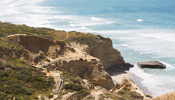 южной калифорнии побережье - torrey pines state reserve стоковые фото и изображения