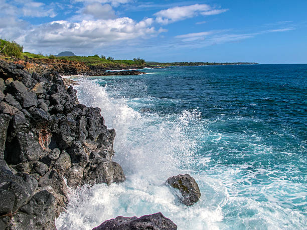 istock Lava rock and surf 528976296