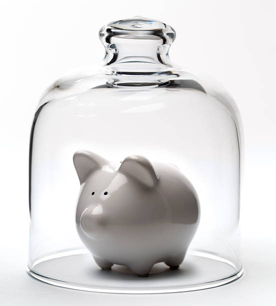istock Piggy bank under the glass dome 528978038