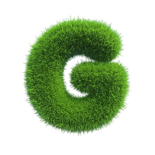 istock Letter of green fresh grass isolated on a white background. 528978709