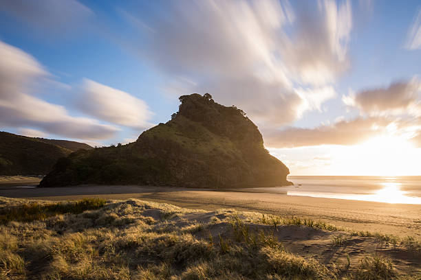 Lion Rock, Piha This is a shot of Lion Rock at Piha auckland stock pictures, royalty-free photos & images