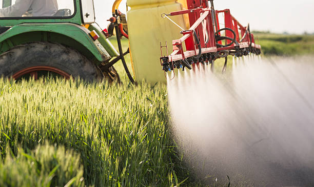 Tractor spraying wheat field Tractor spraying wheat field with sprayer crop sprayer stock pictures, royalty-free photos & images