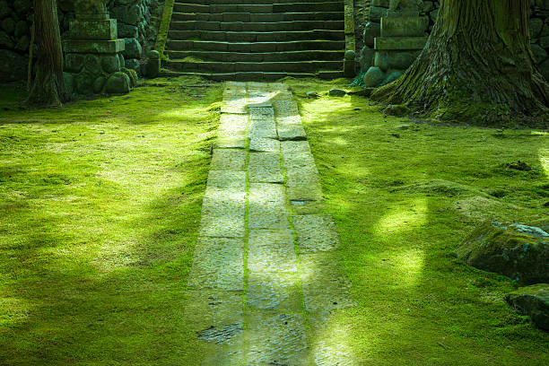 The way of a stone of moss The way of a stone of moss, Stairs of a stone,  Japanese garden, The harmony with the nature, The traditional landscape of Japan, Image of an ecology chan buddhism photos stock pictures, royalty-free photos & images