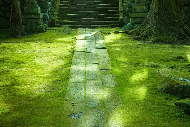 The way of a stone of moss, Stairs of a stone,  Japanese garden, The harmony with the nature, The traditional landscape of Japan, Image of an ecology