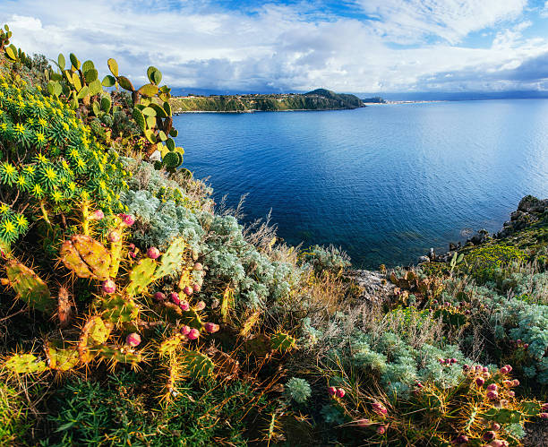 730+ Fotos, Bilder und lizenzfreie Bilder zu Milazzo Fotos iStock