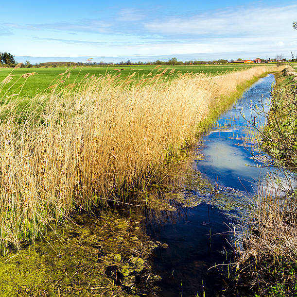 istock Achterwasser in Usedom at the baltic sea 528982893
