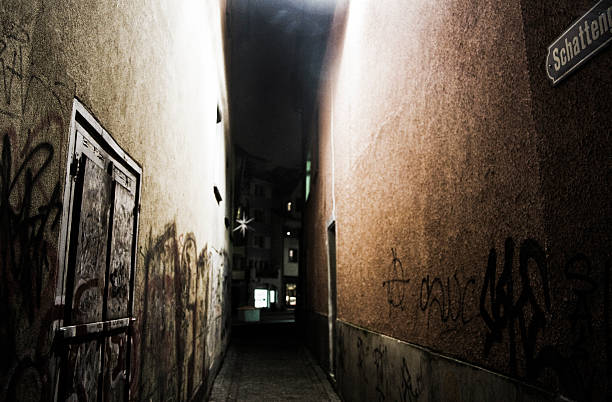 istock Sankt Gallen alley 528983175