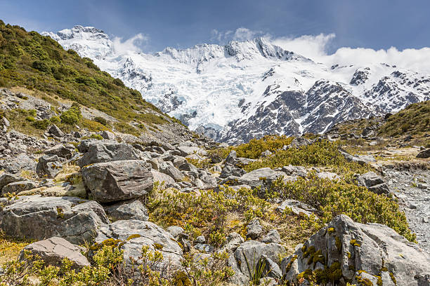 istock Kea Point, New Zealand 528984799