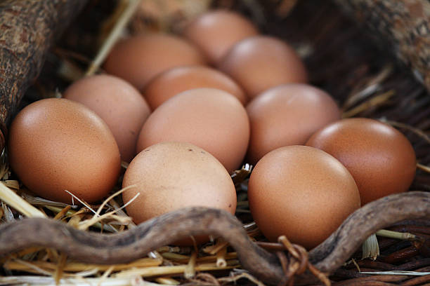 istock Lot of fresh eggs 528986315