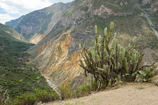 los andes en perú - anoxia fotografías e imágenes de stock