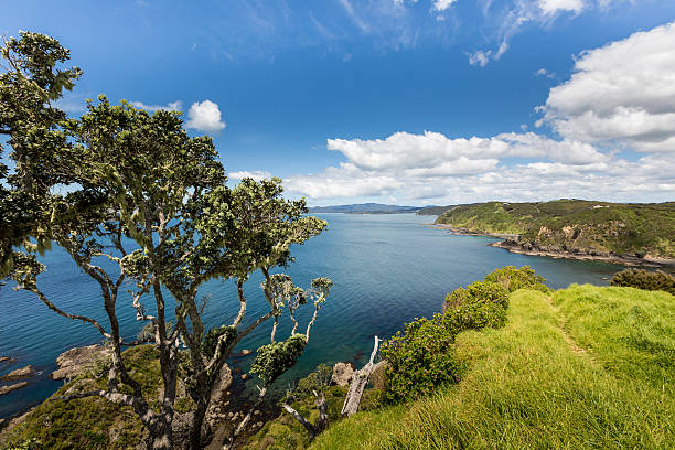 paysage de russell paihia, situé à proximité de bay of islands-nouvelle-zélande - perfect day photos et images de collection