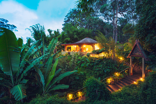 Tropical Cabin Retreat in the Jungle at Sunset