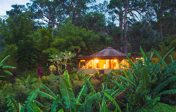 istock Tropical Home in the Jungle at Sunset 529004177