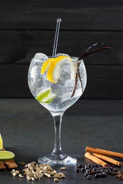 istock Gin tonic cocktail with lima and many spices 529004215