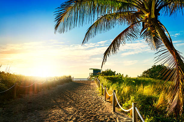 istock Lifeguard Tower, Miami Beach, Florida 529004383