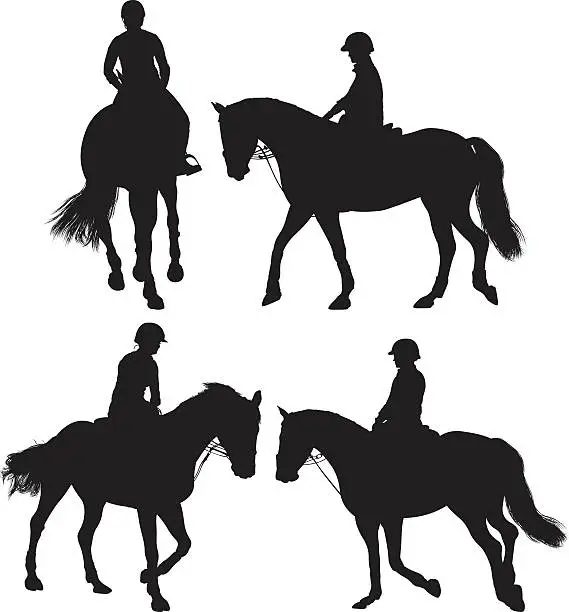 Vector illustration of Woman equestrian riding horse