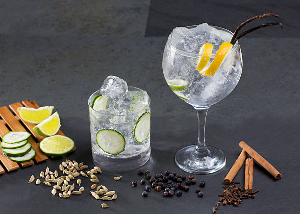 istock Gin tonic cocktail with lima cucumber vanilla cloves cardamom 529005595