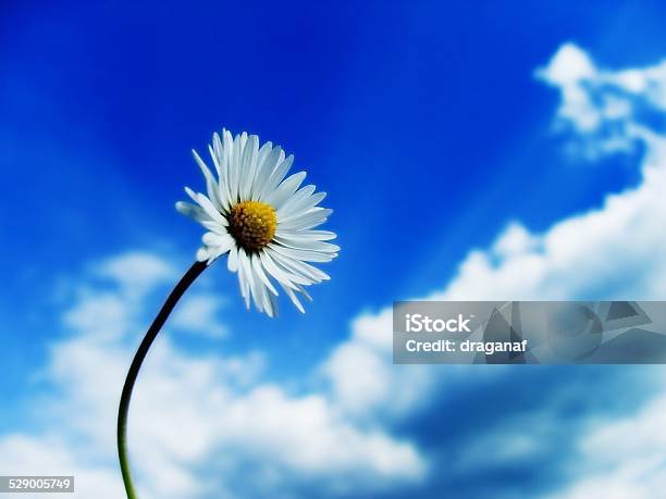 Sky Stock Photo - Download Image Now - Beauty In Nature, Cloud - Sky, Day