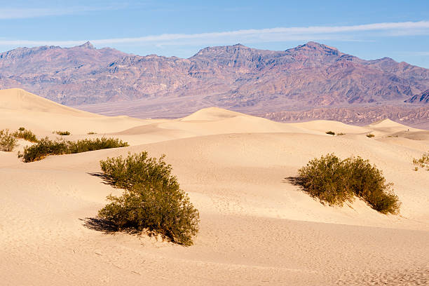 istock Sand Dunes Death Valley Desert Mesquite Flat Grapevine Mountains 529007211