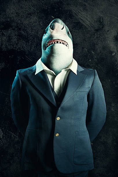 Business Loan Shark A great white shark in a business suit stands for a portrait, his hands crossed behind his back.  Conceptual depiction of a loan shark, or other predatory lending business practices in the corporate world. ugly animal stock pictures, royalty-free photos & images