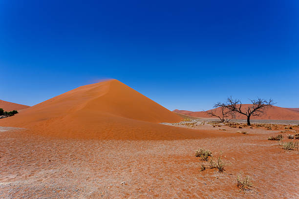 istock Dune 45 in sossusvlei NamibiaDune 45 in sossusvlei Namibia, view 529026797