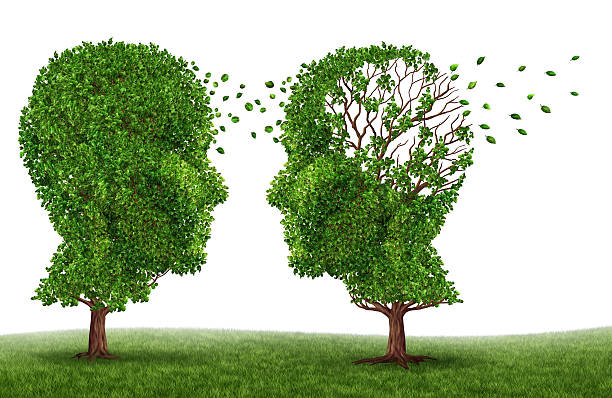 istock Living With A Dementia Patient 529028757
