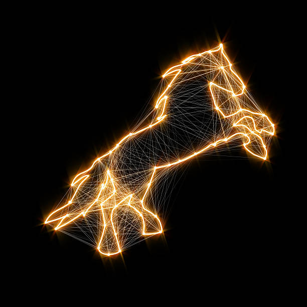 istock Magic shiny golden horse. Connected dots 529030577