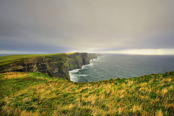 istock Lush Grass at Cliffs of Moher in Ireland 529030591