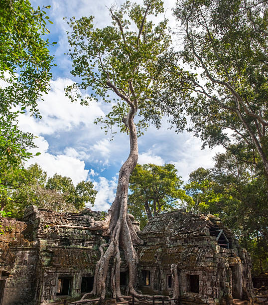 istock Ancient stone face of Bayon temple 529050341