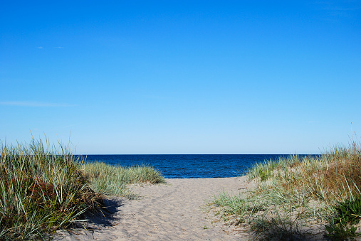 Azure blue skys and the waters of Lake Michigan are the background at Sleeping Bear Dunes National Lakeshore in Glen Haven Michigan