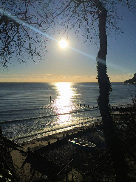 istock Isle of Wight coast at dawn 529053545