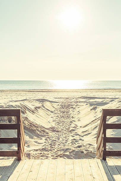 istock Wooden path goes to the beach 529053842