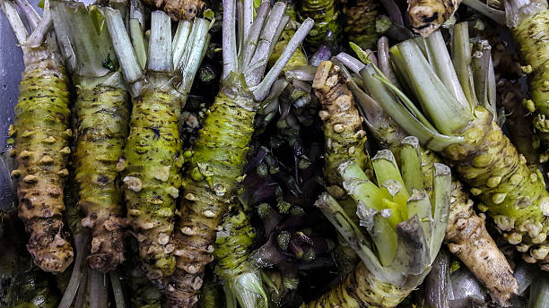 nova raiz-forte vendidos no mercado japonês - wasabi imagens e fotografias de stock