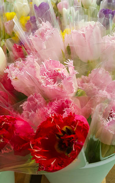 istock Various Tulips in flower shop. 529056196