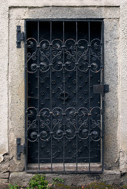 istock Historical house door. Big metallic old door. Rural entry architecture element. 529056712
