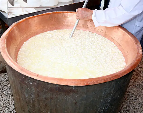 cheesemaker stirs the curds and milk into the copper cauldron to make cheese by hand
