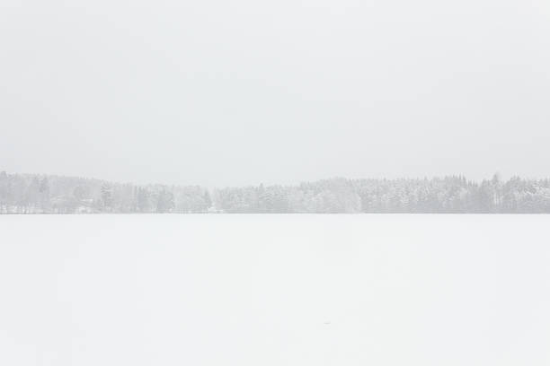 istock Blizzard winter landscape at frozen lake 529063104