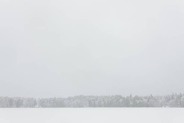 istock Blizzard winter landscape at frozen lake 529063340