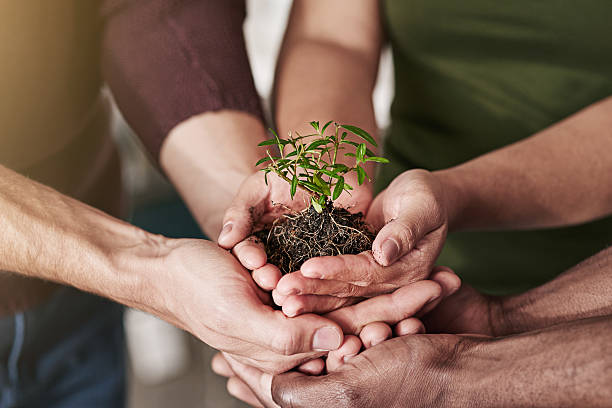 istock Growing their business is a breeze with teamwork 529066658