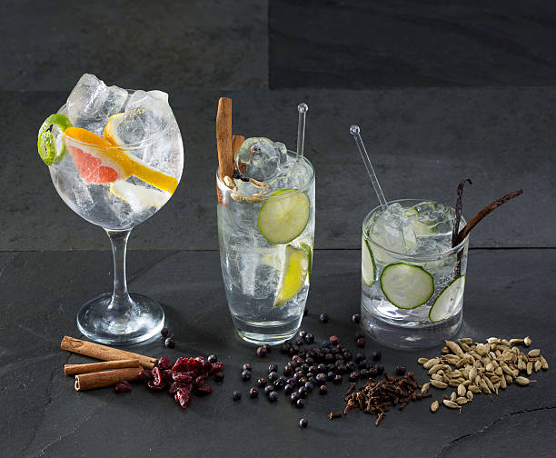 istock Gin tonic cocktails with lima cucumber and grapefruit 529066771