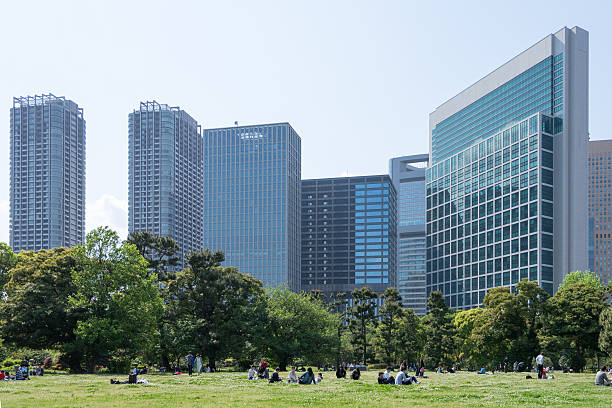 istock People who go on a picnic in a park 529067336